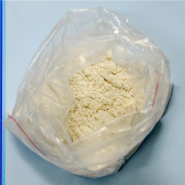 Testosterone Undecanoate 